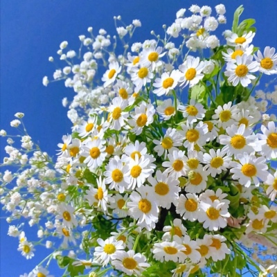 2022增强运气的微信头像(精选12张)