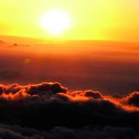 适合中年妈妈的微信头像图片(精选10张)