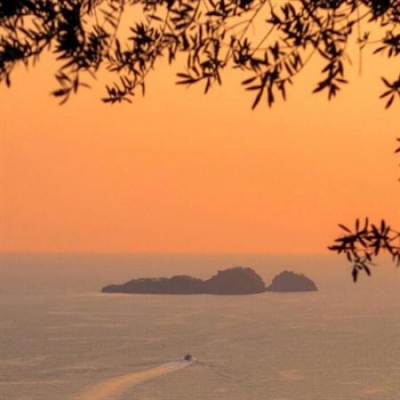 适合中年妈妈的微信头像图片(精选10张)