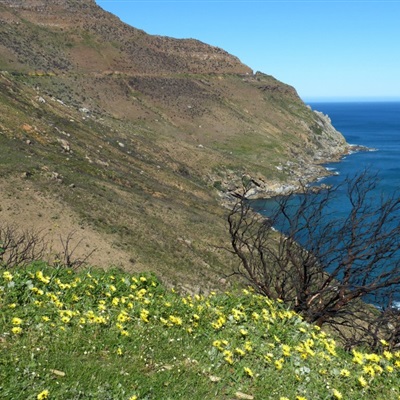 适合年轻人大学生的微信头像(精选12张)