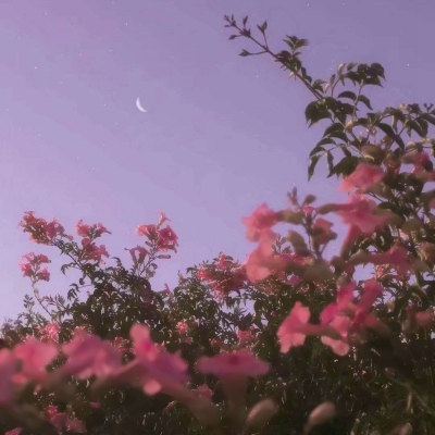 土命人最适合的头像(精选10张)