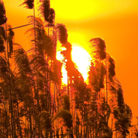 土命人最适合的头像(精选10张)