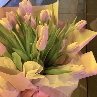 有靠山有贵人相助的微信头像(精选10张)