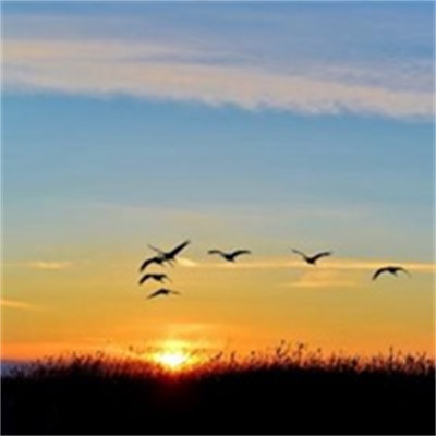 有靠山有贵人相助的微信头像(精选10张)