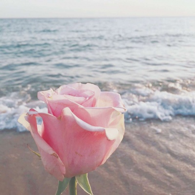 微信头像2022年最新版图片女(精选11张)