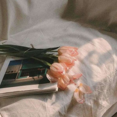 微信头像2022年最新版图片女(精选11张)