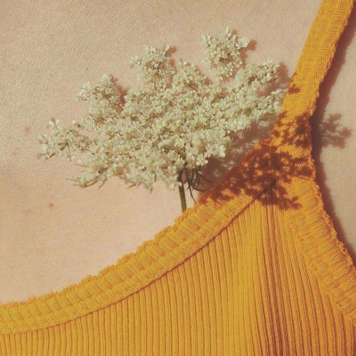 微信头像2022年最新版图片女(精选11张)