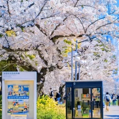 2022最舒心的微信头像(精选10张)