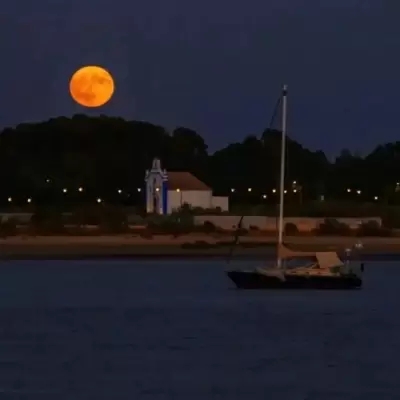70后女人最适合的微信头像(精选14张)