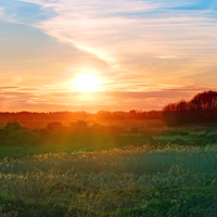 70后女人最适合的微信头像(精选14张)
