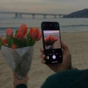 永久不换冷门的头像(精选10张)