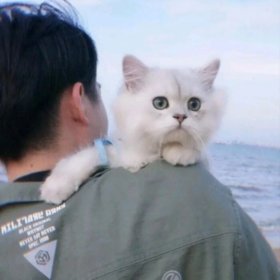 福气满满好运连连情侣头像(精选12张)