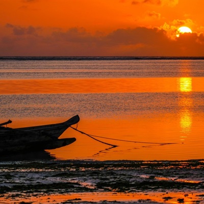 适合中年人女性的微信头像(精选12张)