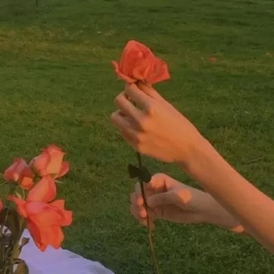 适合中年人女性的微信头像(精选12张)