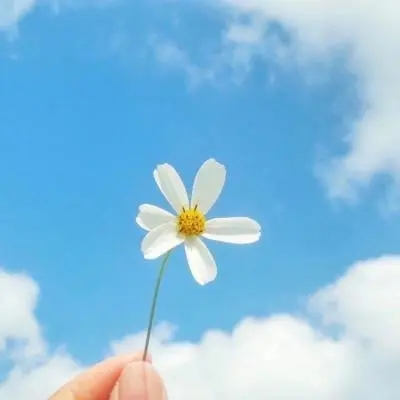 中年女性适合用的微信头像(精选12张)