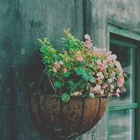 中年女性适合用的微信头像(精选12张)