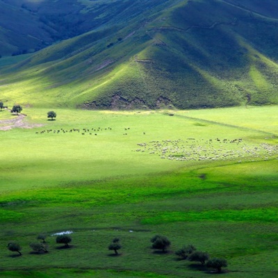 中年女性适合用的微信头像(精选12张)
