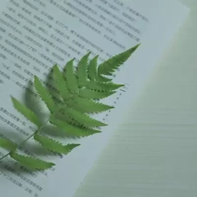 中年女性适合用的微信头像(精选12张)