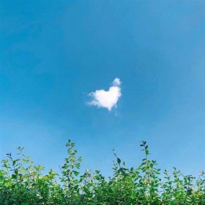 40岁女人最适合的微信头像(精选10张)