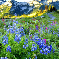 40岁女人最适合的微信头像(精选10张)