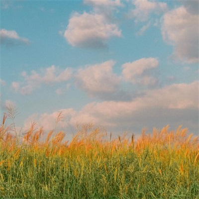 50岁中年人微信头像高清(精选12张)