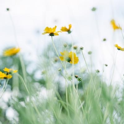 50岁中年人微信头像高清(精选12张)