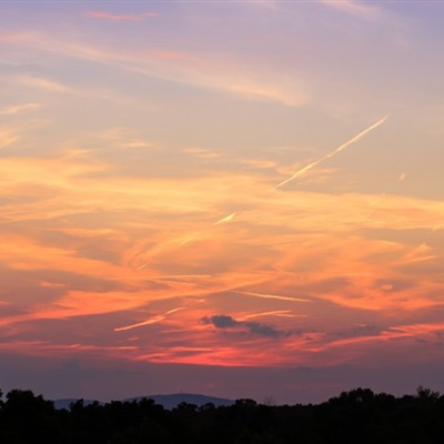 老年人喜欢用的微信头像(精选12张)