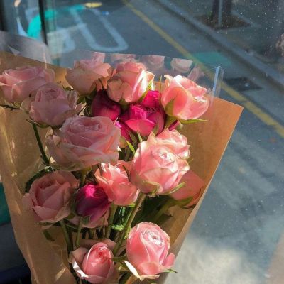 40岁阿姨用的头像(精选12张)