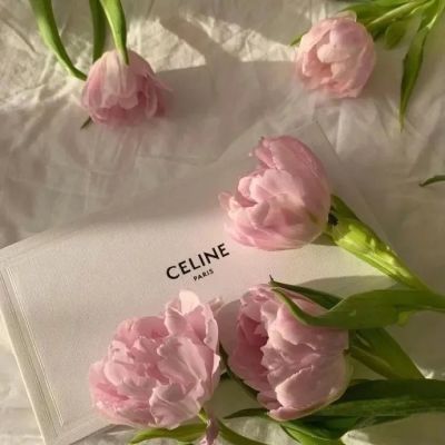 40岁阿姨用的头像(精选12张)