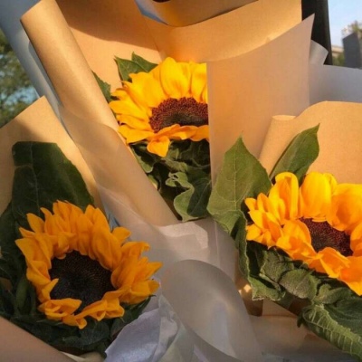 大妈爱用的微信头像图片(精选12张)