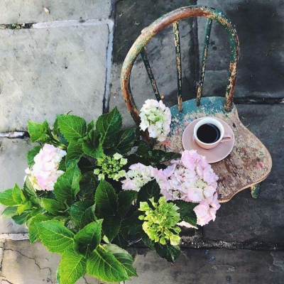 大妈爱用的微信头像图片(精选12张)