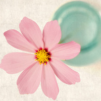 大妈爱用的微信头像图片(精选12张)