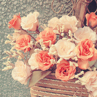 大妈爱用的微信头像图片(精选12张)