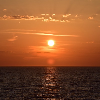 网上很火的老人头像 老年夕阳红的微信头像