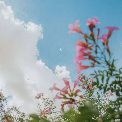 适合永久做头像的图片(精选10张)