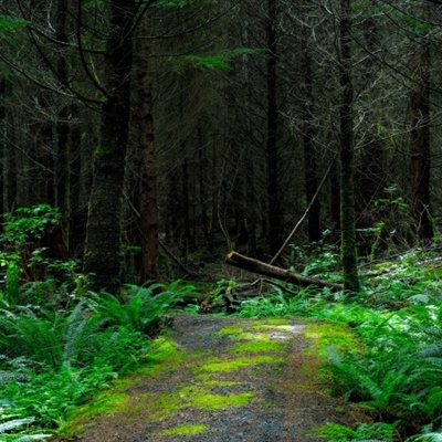适合永久做头像的图片(精选10张)