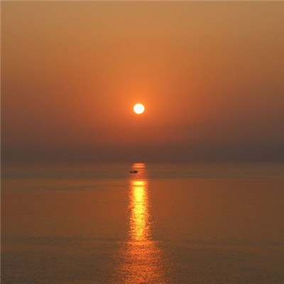 给人一种阳光的头像(精选12张)