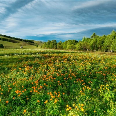 给人一种阳光的头像(精选12张)