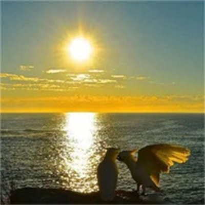 给人一种阳光的头像(精选12张)