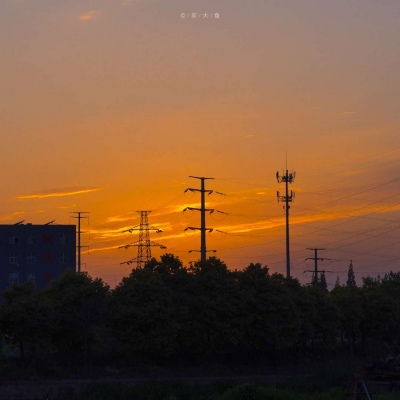 让人一看就想加的头像(精选12张)