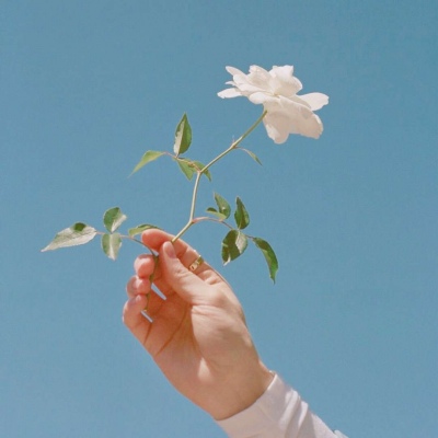 让人一看就想加的头像(精选12张)