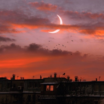 最近抖音上很火的头像(精选12张)