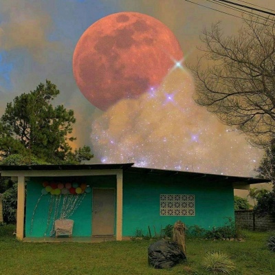 最近抖音上很火的头像(精选12张)