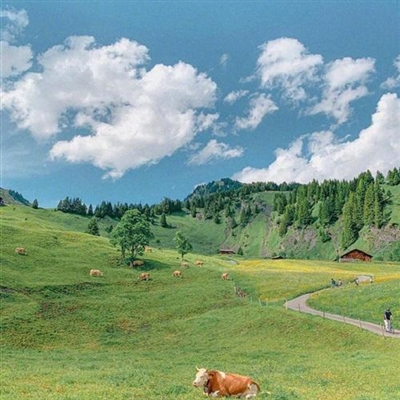 40多岁女人微信头像大气端庄(精选12张)