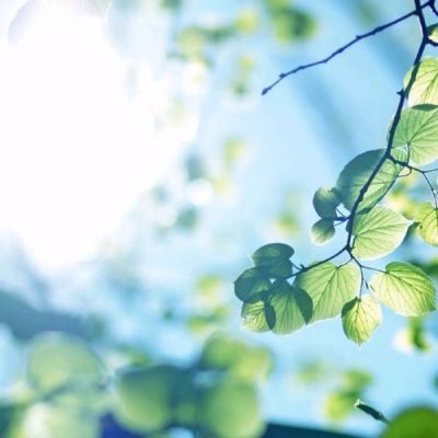 干净又好看的气质头像(精选14张)