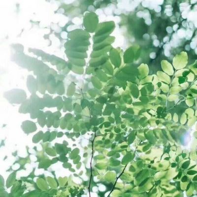 干净又好看的气质头像(精选14张)