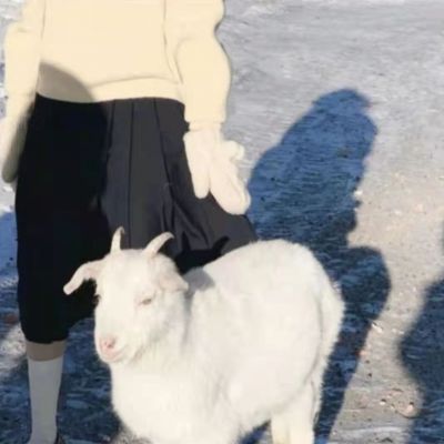 绝对看不出来的情侣头像(精选10张)