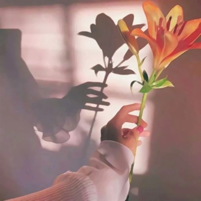 微信头像老年人专用女风景(精选12张)