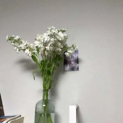 适合教师的高雅微信头像(精选10张)