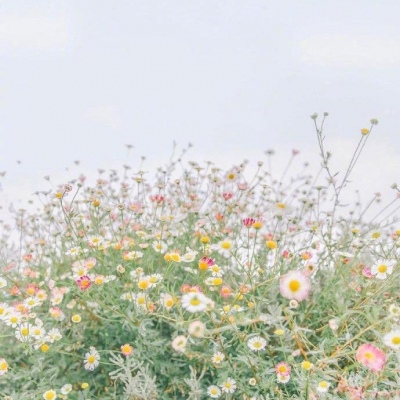 适合教师的高雅微信头像(精选10张)